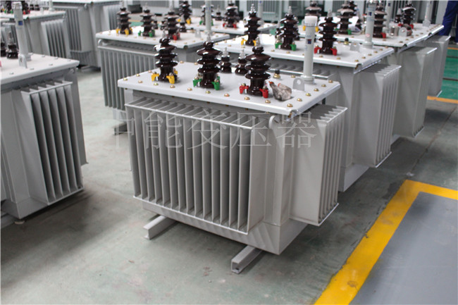 晋城S22-100KVA/10KV/0.4KV变压器
